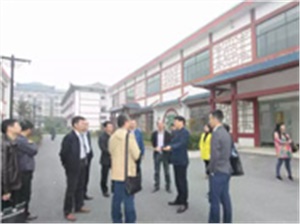 廣西茶葉茶學界的專家教授蒞臨君山黃茶產業(yè)園考察