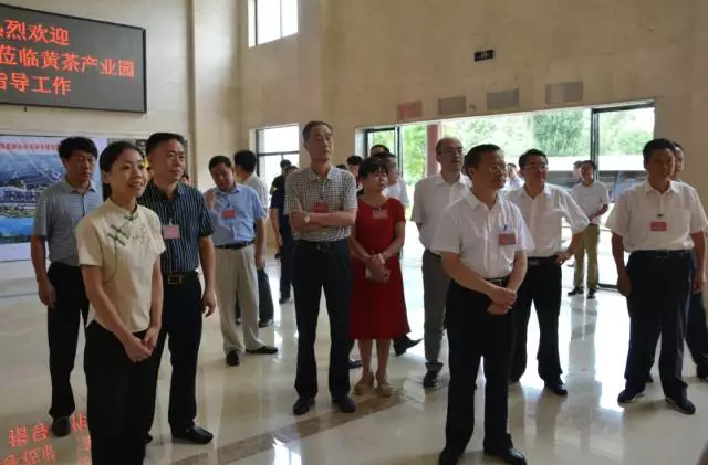 全國人大代表岳陽小組專題調研君山黃茶產業